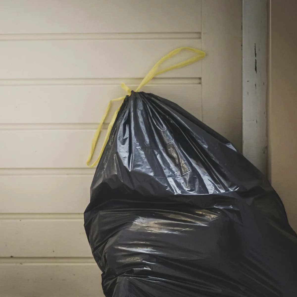 Trash can liners